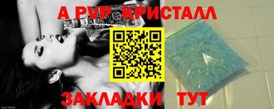 амф Кингисепп